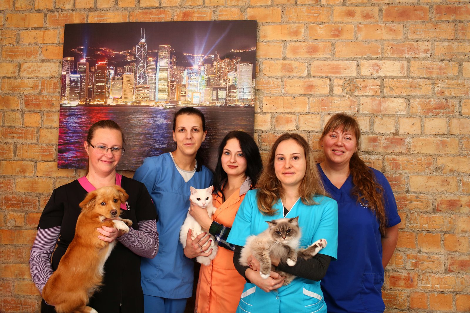 Veterinārās klīnikas Bišu Dārzs kolektīvs